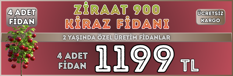 4 Adet Ziraat900 Kiraz
