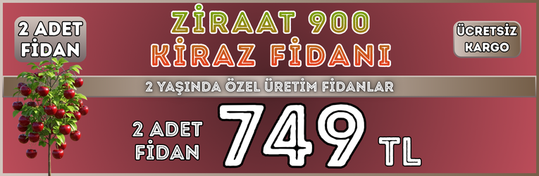 2 Adet Ziraat900 Kiraz