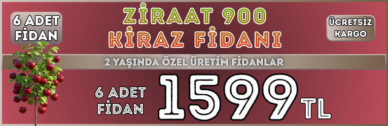 6 Adet Ziraat900 Kiraz