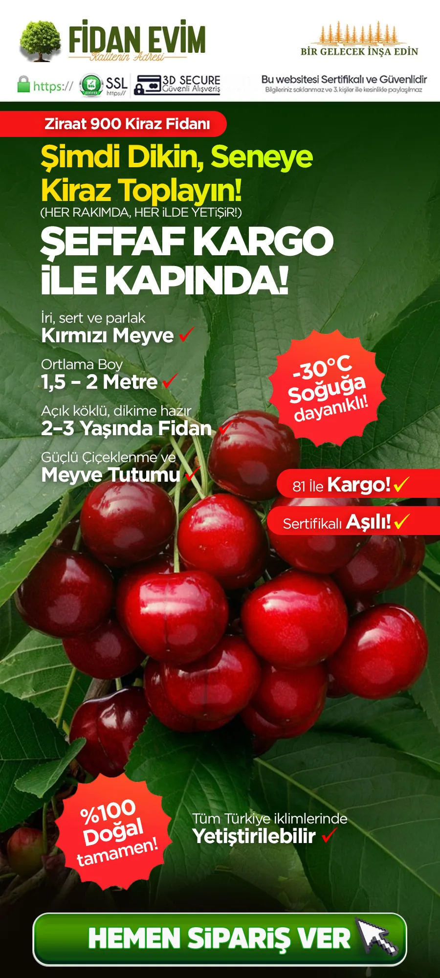 ziraat900kiraz.jpg 1