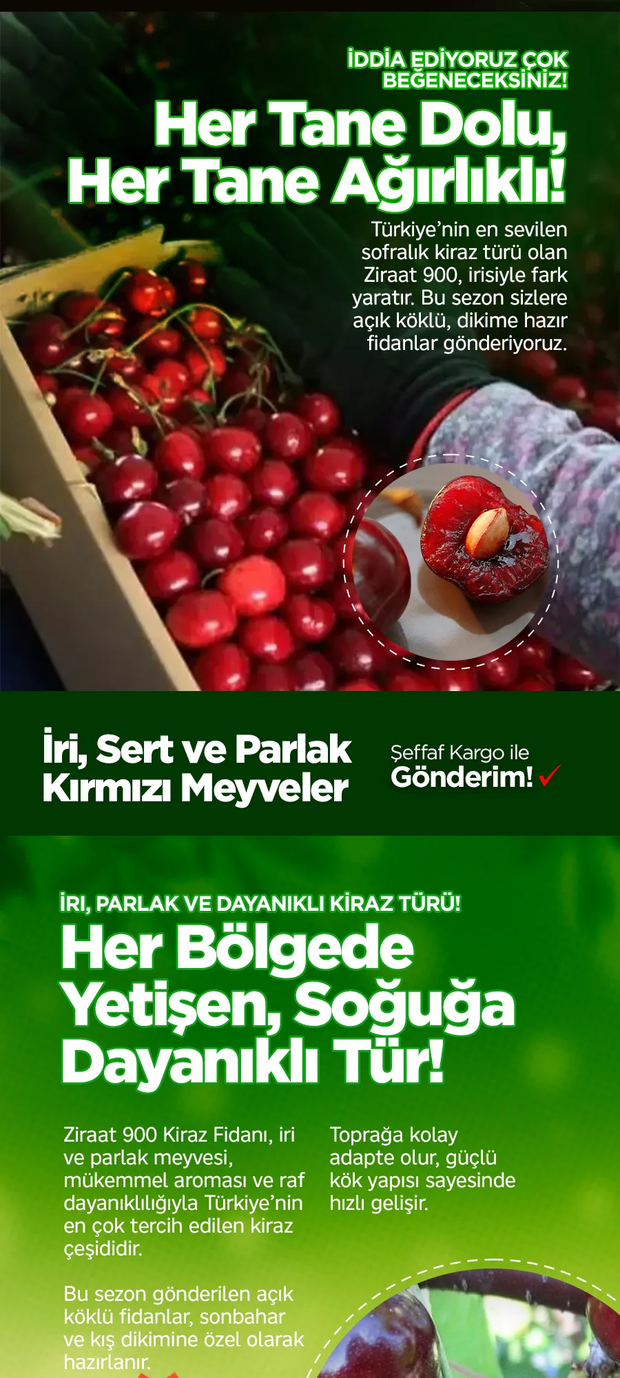 ziraat900kiraz.jpg 2