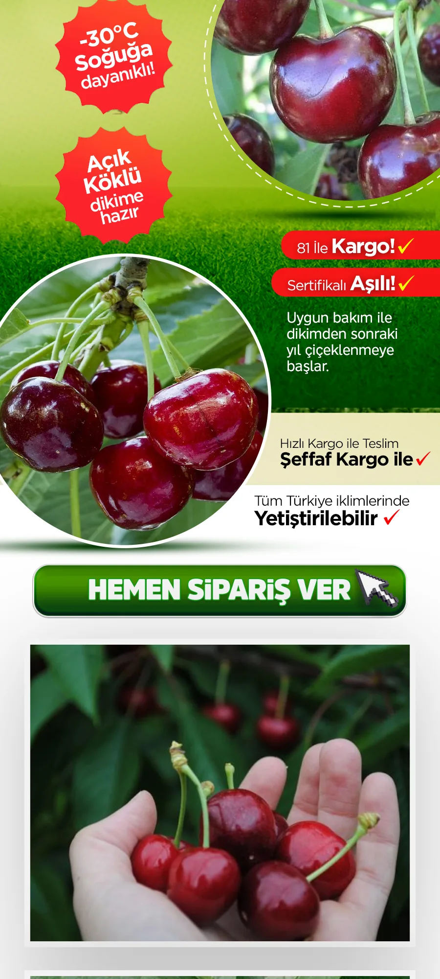 ziraat900kiraz.jpg 3