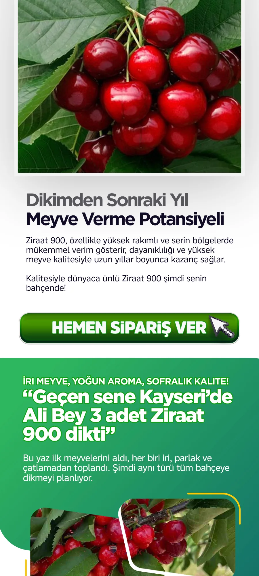 ziraat900kiraz.jpg 4